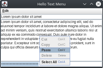 Text Menu - Popup menu with actions added to a password component
Note the difference from a normal text component popup menu